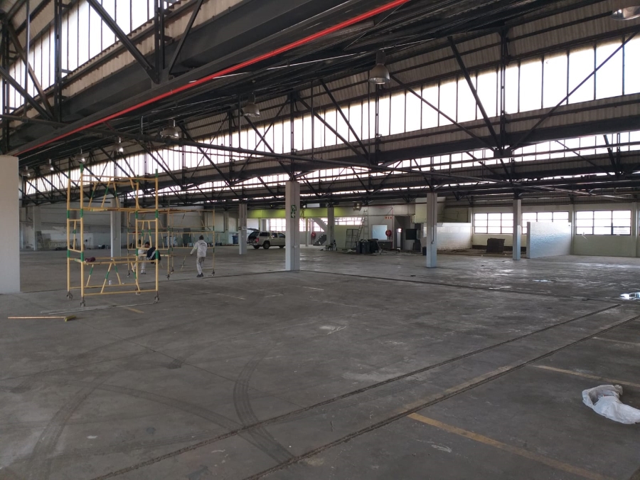 To Let Commercial Property for Rent in Paarden Eiland Western Cape